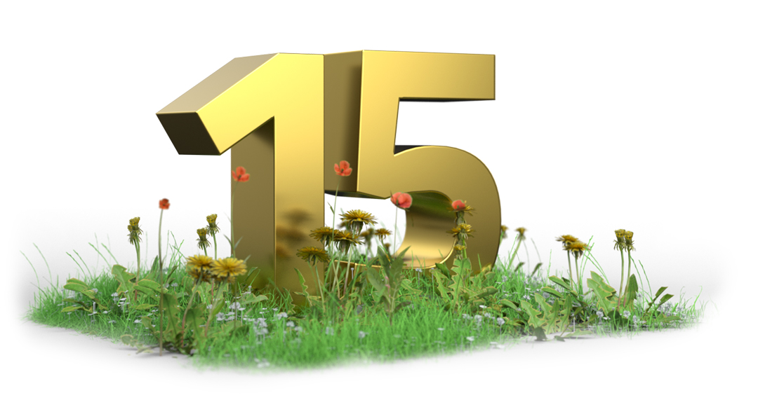 WEdirekt 15 Jahre Blumenwiese Goldene Fünfzehn auf einer Wiese